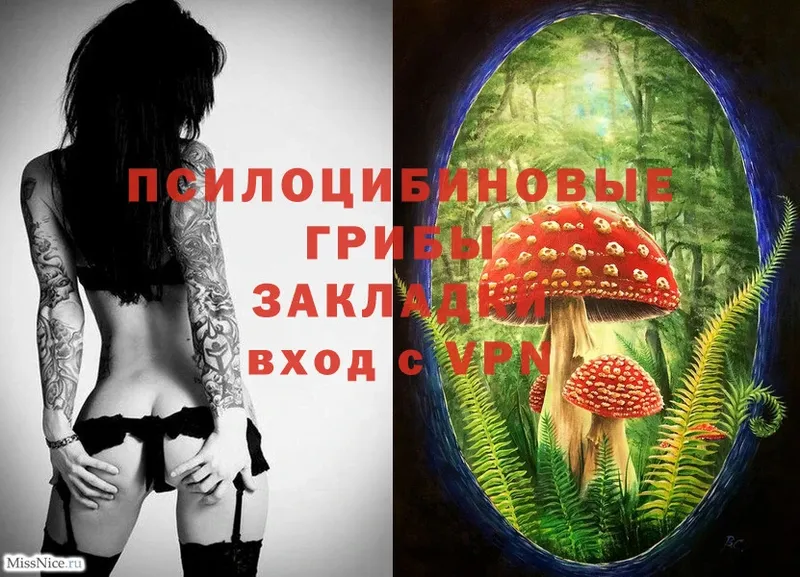 Галлюциногенные грибы Magic Shrooms  Донской 